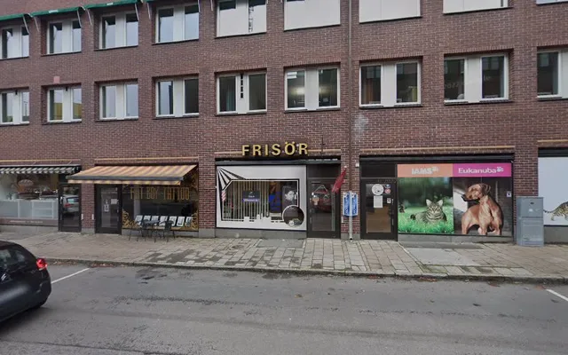 Aziz Mustafa, Hemdad