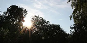 STUDIO A HANDELSBOLAG