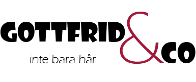 Gottfrid & co AB