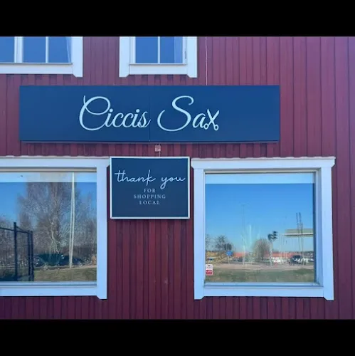 Ciccis Sax AB