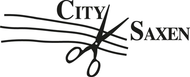 CITY-SAXEN I BORLÄNGE AKTIEBOLAG