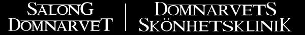 Salong Domnarvet AB
