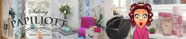 Salong Papiljott i Sundsvall AB